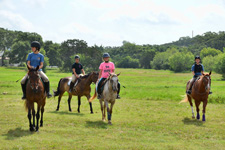 USA-Texas-Texas Equestrian Clinic